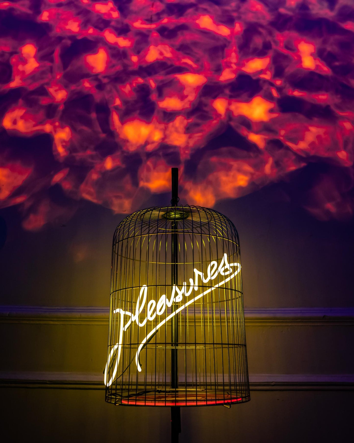 Pleasures (Birdcage) 2018