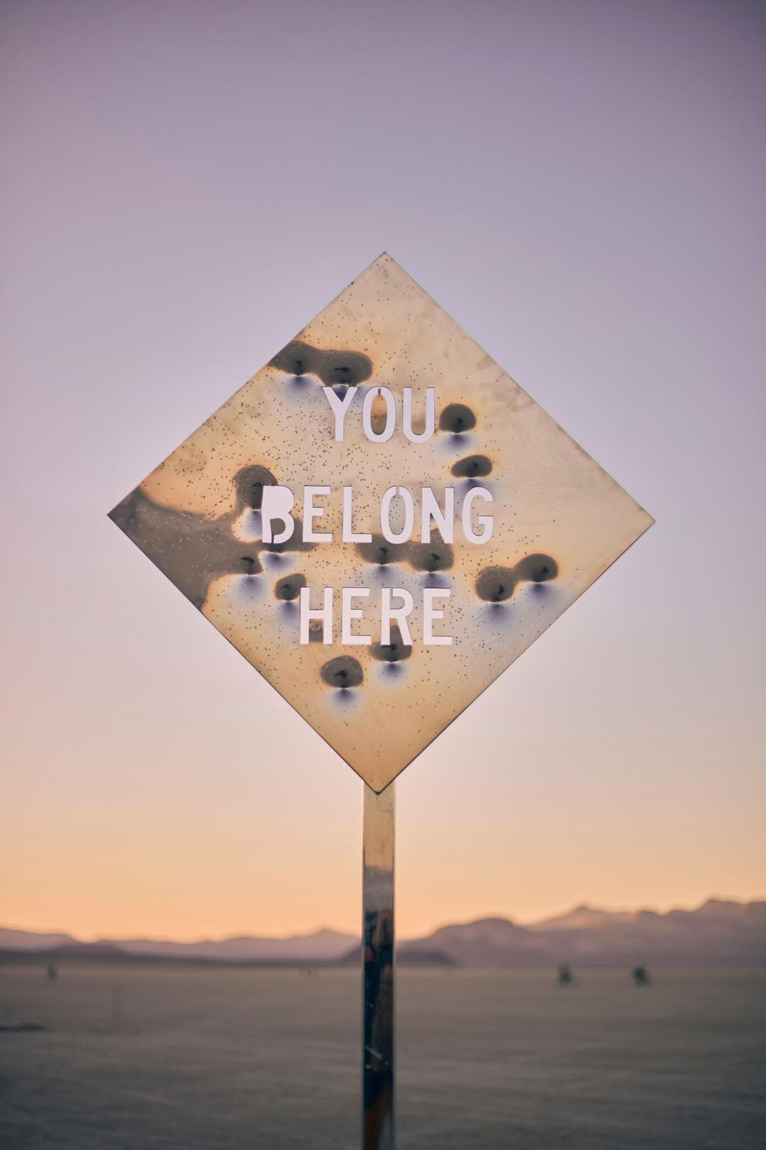 You Belong Here (Mirror Road Sign) 2022