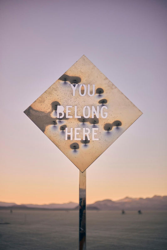 You Belong Here (Mirror Road Sign) 2022